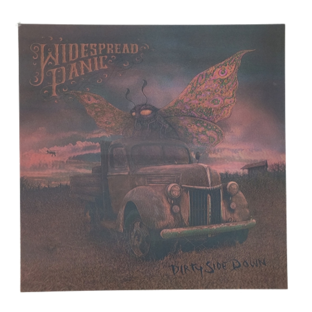 2010 Widespread Panic Dirty Side Down 2010 12x12 Marq Spusta 3D Art